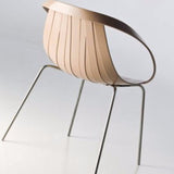 Curabitur cursus dignis